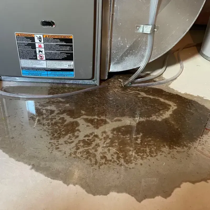 Appliance Leak Cleanup in Big Bear Lake, CA